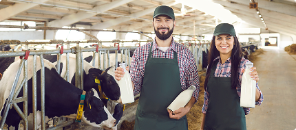 The Journey : From Grass to Glass