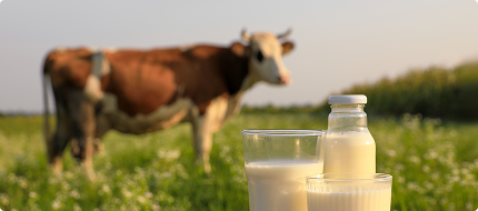 Why Fresh Milk Matters More Than Ever